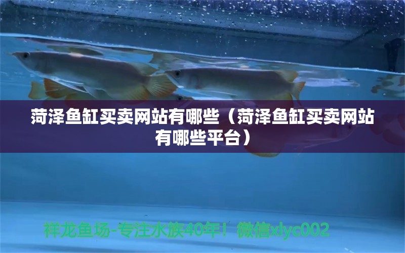 菏澤魚(yú)缸買(mǎi)賣(mài)網(wǎng)站有哪些（菏澤魚(yú)缸買(mǎi)賣(mài)網(wǎng)站有哪些平臺(tái)）