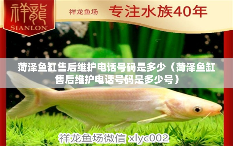 菏澤魚(yú)缸售后維護(hù)電話(huà)號(hào)碼是多少（菏澤魚(yú)缸售后維護(hù)電話(huà)號(hào)碼是多少號(hào)） 其他品牌魚(yú)缸