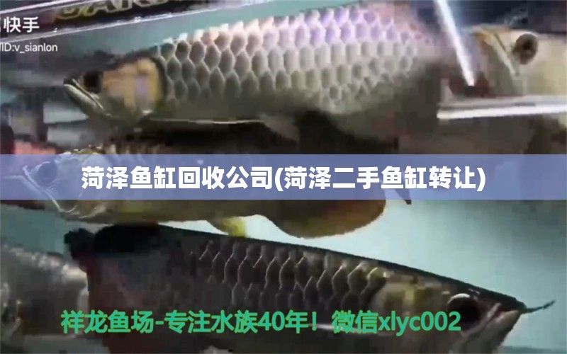 菏澤魚缸回收公司(菏澤二手魚缸轉(zhuǎn)讓)