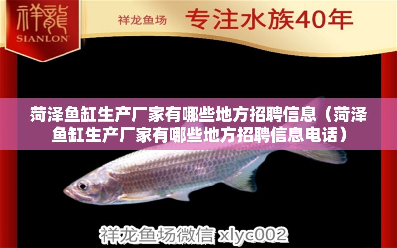 菏澤魚缸生產(chǎn)廠家有哪些地方招聘信息（菏澤魚缸生產(chǎn)廠家有哪些地方招聘信息電話）