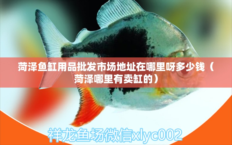 菏澤魚(yú)缸用品批發(fā)市場(chǎng)地址在哪里呀多少錢(qián)（菏澤哪里有賣(mài)缸的）