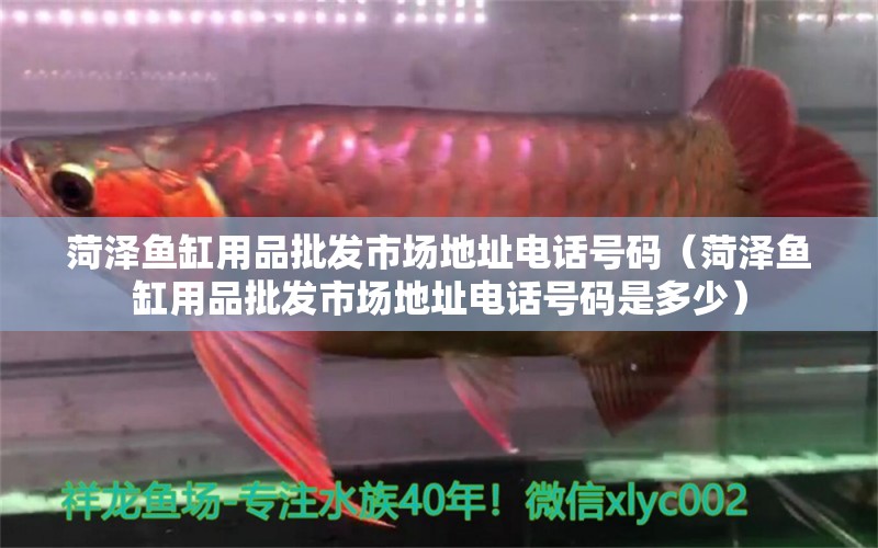 菏澤魚(yú)缸用品批發(fā)市場(chǎng)地址電話(huà)號(hào)碼（菏澤魚(yú)缸用品批發(fā)市場(chǎng)地址電話(huà)號(hào)碼是多少）