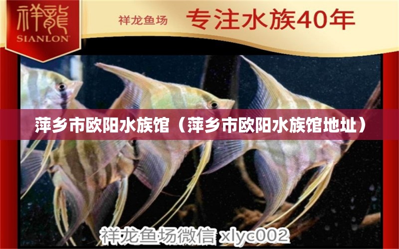 萍鄉(xiāng)市歐陽水族館（萍鄉(xiāng)市歐陽水族館地址）