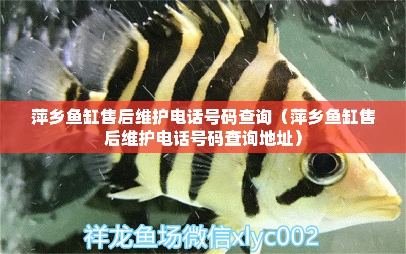 萍鄉(xiāng)魚缸售后維護(hù)電話號(hào)碼查詢（萍鄉(xiāng)魚缸售后維護(hù)電話號(hào)碼查詢地址）