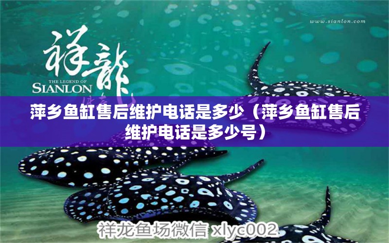 萍鄉(xiāng)魚(yú)缸售后維護(hù)電話是多少（萍鄉(xiāng)魚(yú)缸售后維護(hù)電話是多少號(hào)）