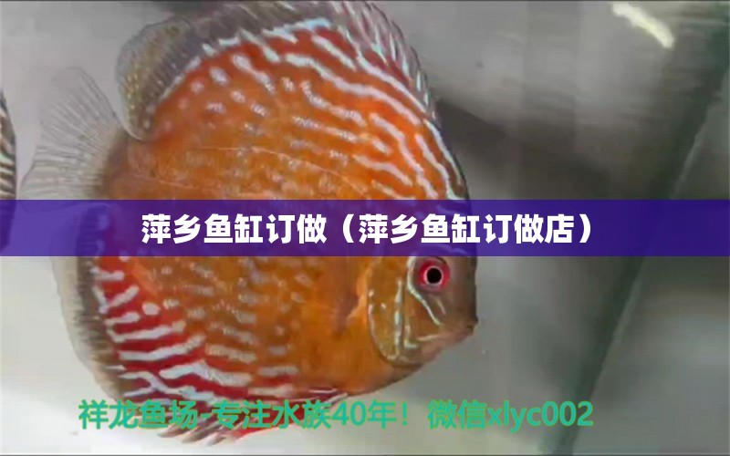 萍鄉(xiāng)魚缸訂做（萍鄉(xiāng)魚缸訂做店） 廣州龍魚批發(fā)市場