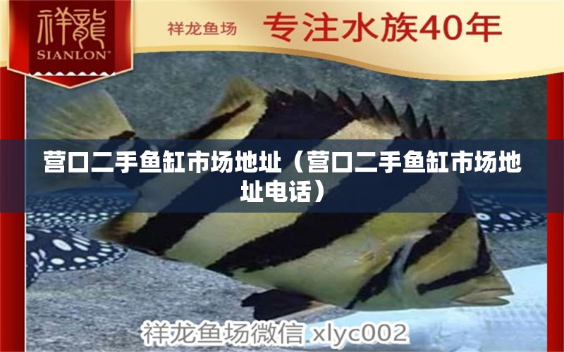 營口二手魚缸市場地址（營口二手魚缸市場地址電話） 其他品牌魚缸