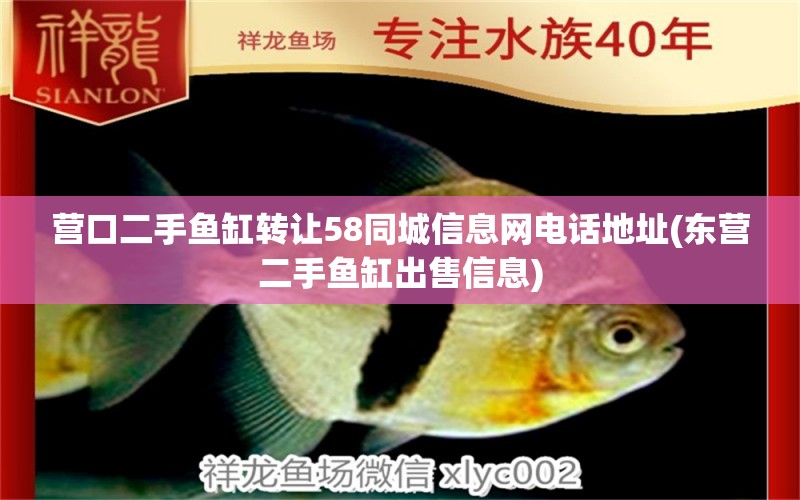 營口二手魚缸轉(zhuǎn)讓58同城信息網(wǎng)電話地址(東營二手魚缸出售信息) 月光鴨嘴魚