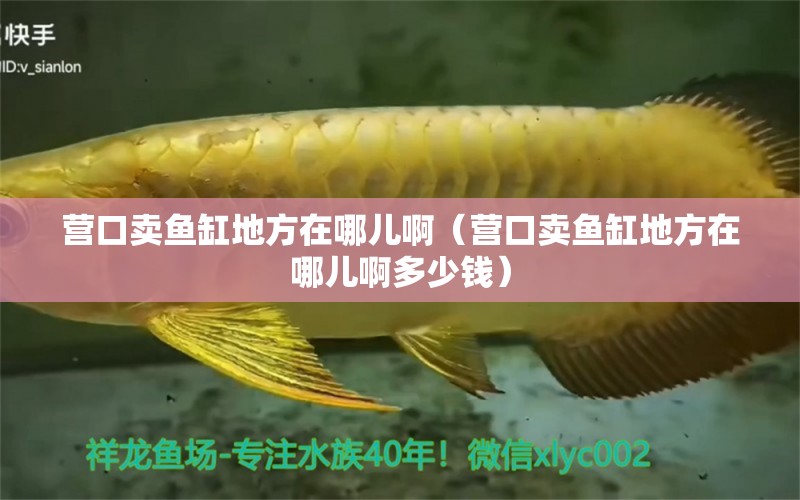 營口賣魚缸地方在哪兒啊（營口賣魚缸地方在哪兒啊多少錢） 2024第28屆中國國際寵物水族展覽會(huì)CIPS（長(zhǎng)城寵物展2024 CIPS）