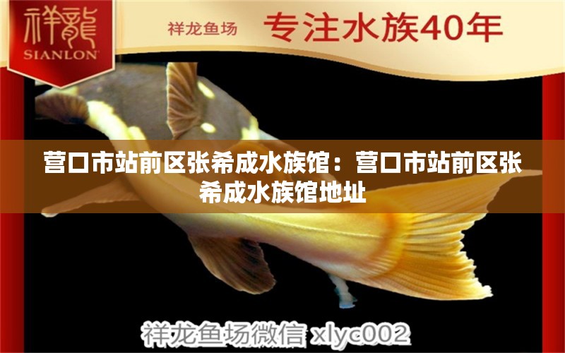 營(yíng)口市站前區(qū)張希成水族館：營(yíng)口市站前區(qū)張希成水族館地址