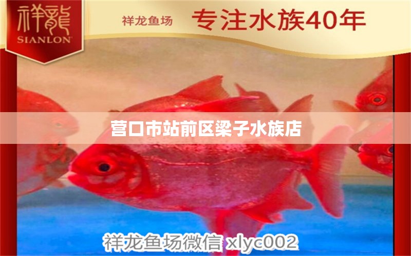 營口市站前區(qū)梁子水族店 全國水族館企業(yè)名錄