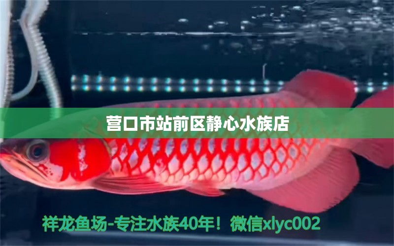 營口市站前區(qū)靜心水族店 全國水族館企業(yè)名錄