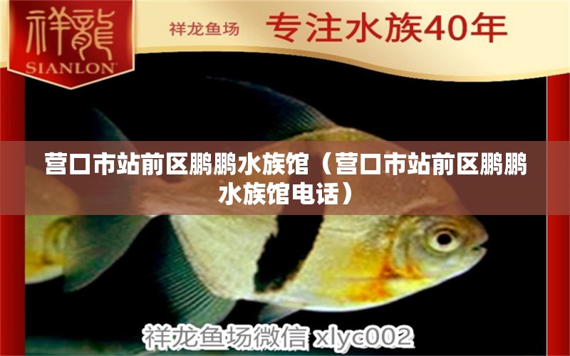 營(yíng)口市站前區(qū)鵬鵬水族館（營(yíng)口市站前區(qū)鵬鵬水族館電話） 全國(guó)水族館企業(yè)名錄