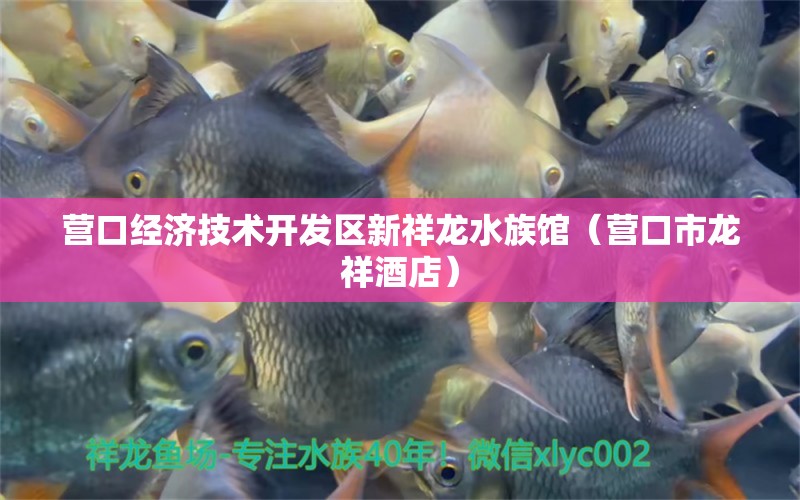 營口經濟技術開發(fā)區(qū)新祥龍水族館（營口市龍祥酒店） 全國水族館企業(yè)名錄