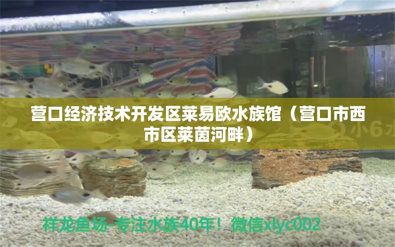 營口經(jīng)濟技術(shù)開發(fā)區(qū)萊易歐水族館（營口市西市區(qū)萊茵河畔）