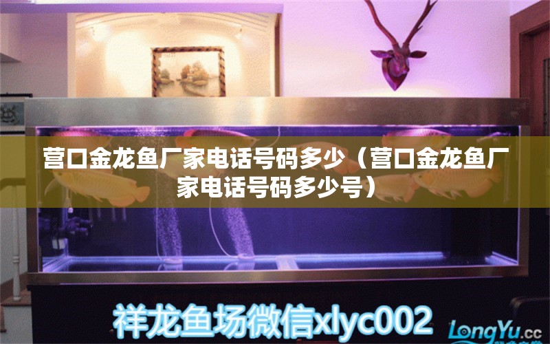 營口金龍魚廠家電話號碼多少（營口金龍魚廠家電話號碼多少號）