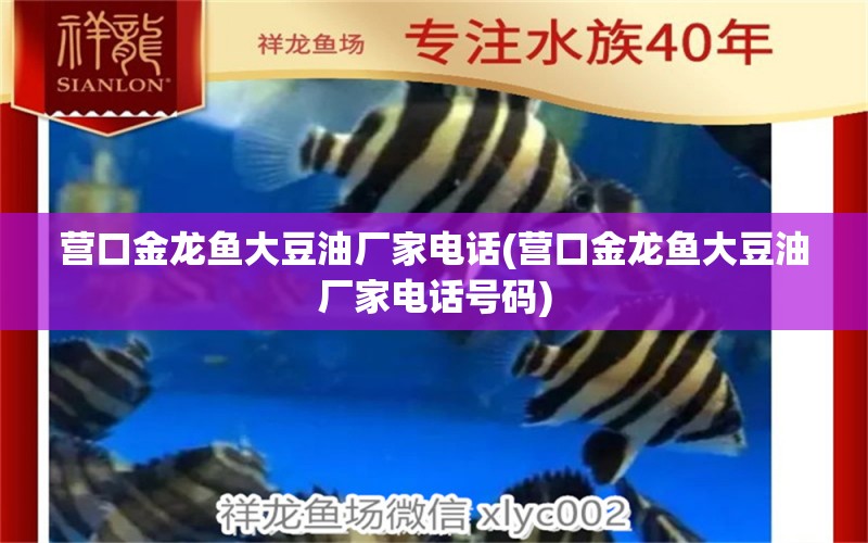 營口金龍魚大豆油廠家電話(營口金龍魚大豆油廠家電話號碼) 觀賞魚魚苗