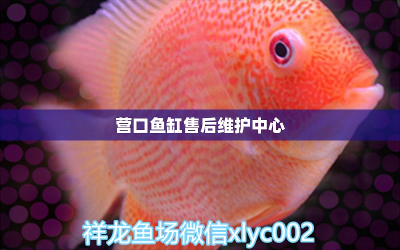 營口魚缸售后維護(hù)中心 其他品牌魚缸