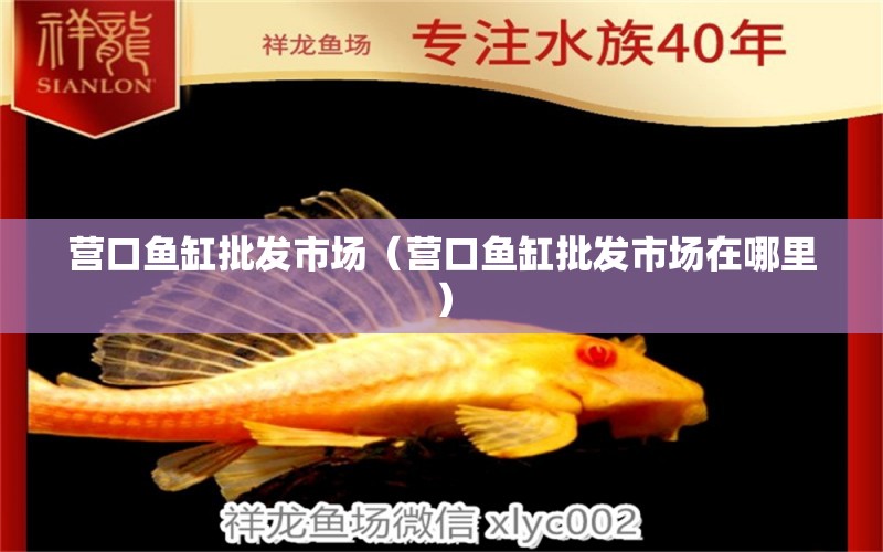 營(yíng)口魚(yú)缸批發(fā)市場(chǎng)（營(yíng)口魚(yú)缸批發(fā)市場(chǎng)在哪里）