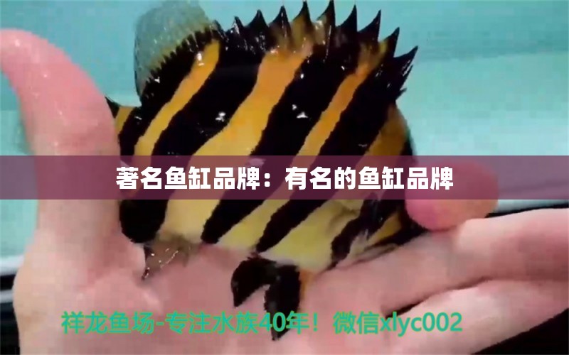 著名魚(yú)缸品牌：有名的魚(yú)缸品牌