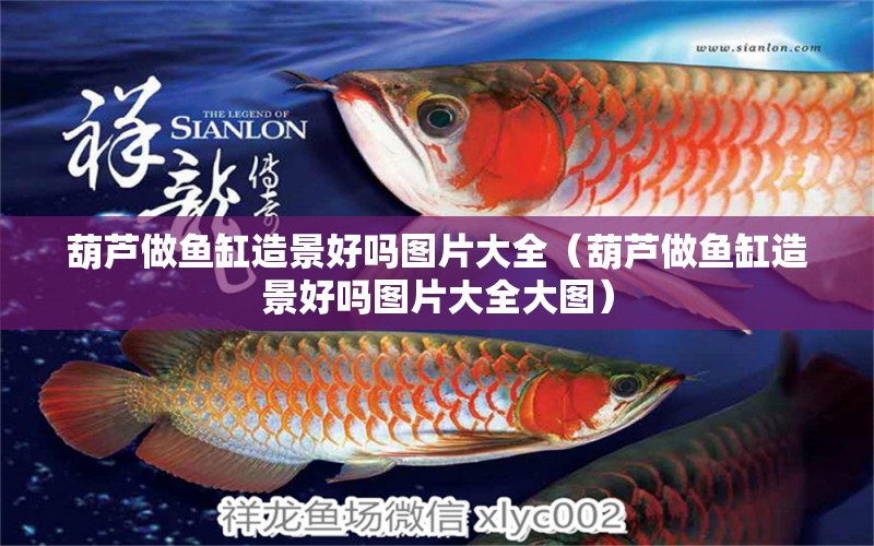 葫蘆做魚缸造景好嗎圖片大全（葫蘆做魚缸造景好嗎圖片大全大圖）