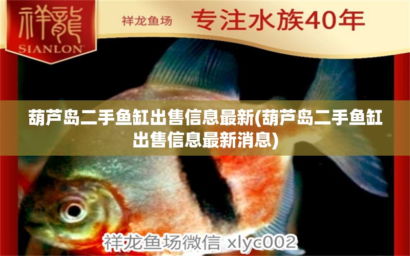 葫蘆島二手魚缸出售信息最新(葫蘆島二手魚缸出售信息最新消息) 雪龍魚