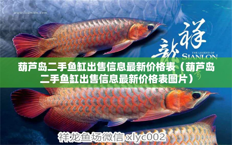 葫蘆島二手魚缸出售信息最新價格表（葫蘆島二手魚缸出售信息最新價格表圖片） 祥龍水族醫(yī)院