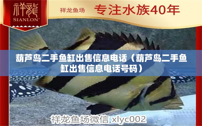 葫蘆島二手魚(yú)缸出售信息電話（葫蘆島二手魚(yú)缸出售信息電話號(hào)碼）