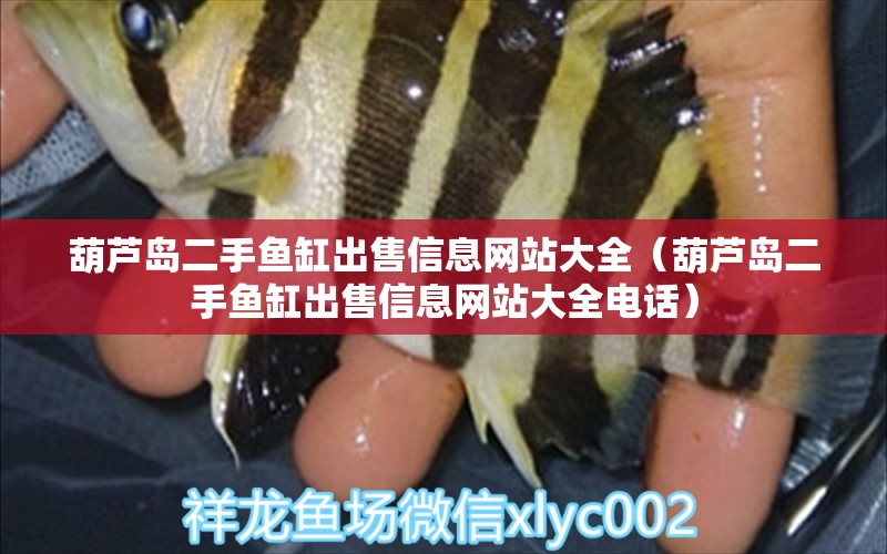 葫蘆島二手魚缸出售信息網(wǎng)站大全（葫蘆島二手魚缸出售信息網(wǎng)站大全電話）