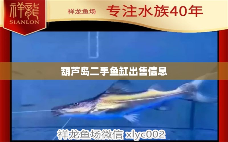 葫蘆島二手魚(yú)缸出售信息