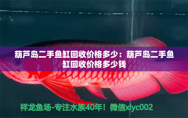 葫蘆島二手魚缸回收價格多少：葫蘆島二手魚缸回收價格多少錢 觀賞魚市場（混養(yǎng)魚）