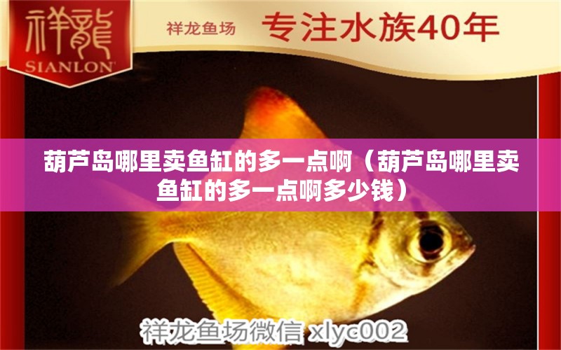 葫蘆島哪里賣(mài)魚(yú)缸的多一點(diǎn)?。êJ島哪里賣(mài)魚(yú)缸的多一點(diǎn)啊多少錢(qián)） 玫瑰銀版魚(yú)