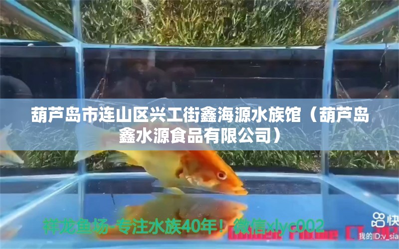 葫蘆島市連山區(qū)興工街鑫海源水族館（葫蘆島鑫水源食品有限公司） 全國水族館企業(yè)名錄