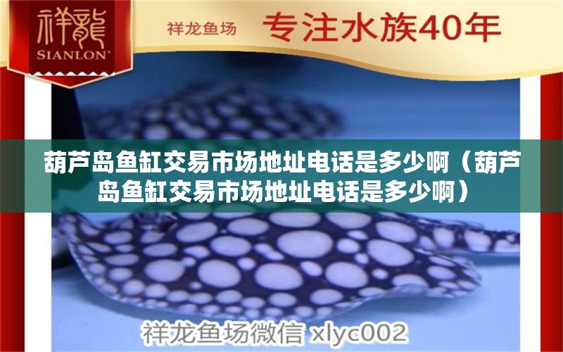 葫蘆島魚缸交易市場地址電話是多少?。êJ島魚缸交易市場地址電話是多少啊） 量子養(yǎng)魚技術(shù)