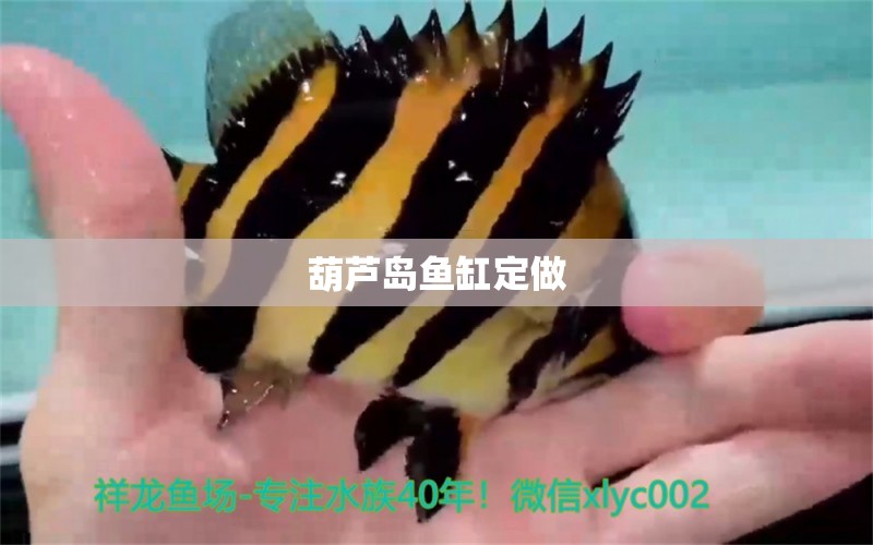 葫蘆島魚缸定做 其他品牌魚缸