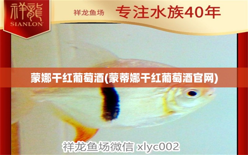 蒙娜干紅葡萄酒(蒙蒂娜干紅葡萄酒官網(wǎng)) 泰國(guó)斗魚