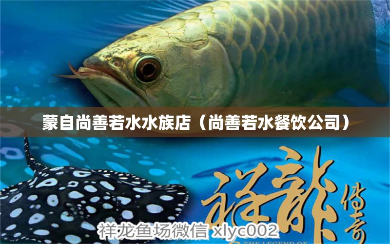 蒙自尚善若水水族店（尚善若水餐飲公司）