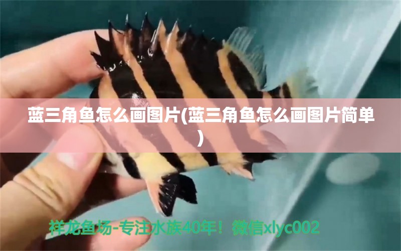 藍三角魚怎么畫圖片(藍三角魚怎么畫圖片簡單) 觀賞魚 第1張