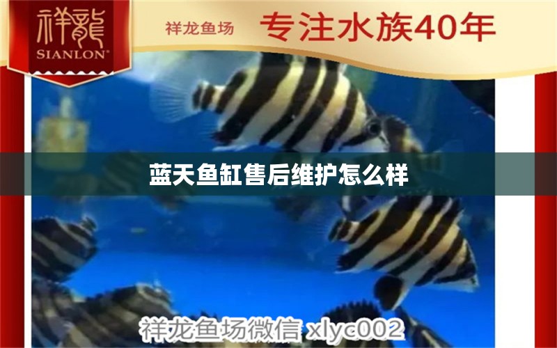 藍(lán)天魚缸售后維護(hù)怎么樣 其他品牌魚缸