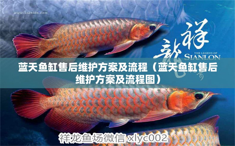 藍天魚缸售后維護方案及流程（藍天魚缸售后維護方案及流程圖） 其他品牌魚缸