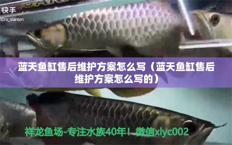 藍天魚缸售后維護方案怎么寫（藍天魚缸售后維護方案怎么寫的）