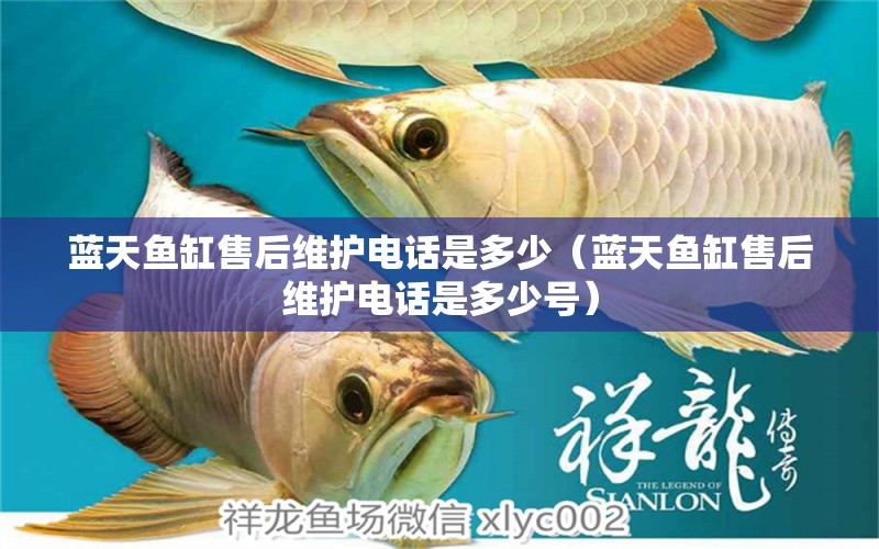 藍(lán)天魚缸售后維護(hù)電話是多少（藍(lán)天魚缸售后維護(hù)電話是多少號(hào)） 其他品牌魚缸