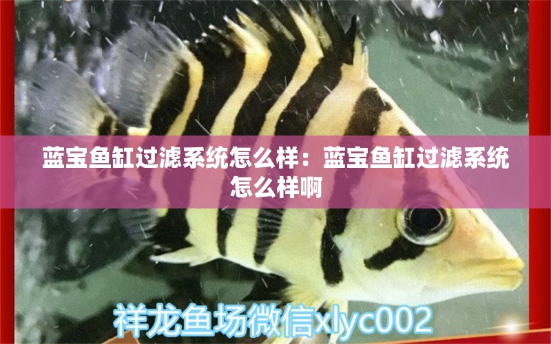 藍寶魚缸過濾系統(tǒng)怎么樣：藍寶魚缸過濾系統(tǒng)怎么樣啊