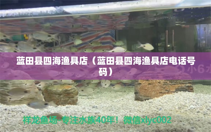 藍田縣四海漁具店（藍田縣四海漁具店電話號碼） 全國水族館企業(yè)名錄