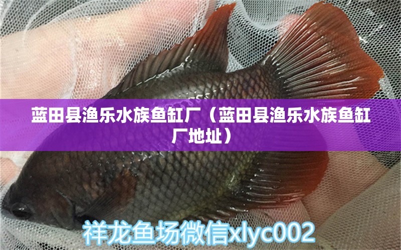 藍(lán)田縣漁樂水族魚缸廠（藍(lán)田縣漁樂水族魚缸廠地址） 全國水族館企業(yè)名錄