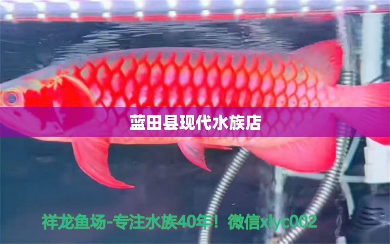 藍(lán)田縣現(xiàn)代水族店 全國水族館企業(yè)名錄