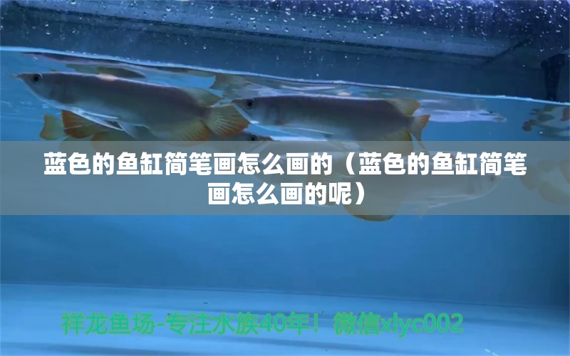 藍(lán)色的魚缸簡(jiǎn)筆畫怎么畫的（藍(lán)色的魚缸簡(jiǎn)筆畫怎么畫的呢） 巴西亞魚苗