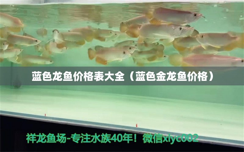 藍色龍魚價格表大全（藍色金龍魚價格） 野彩魚