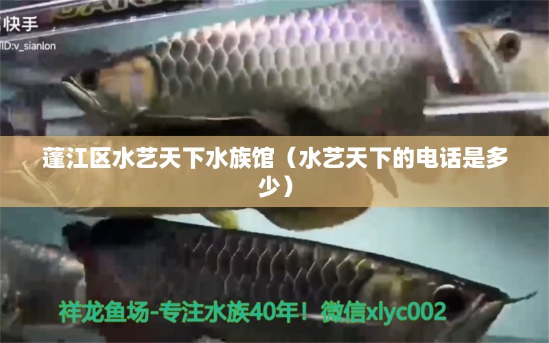 蓬江區(qū)水藝天下水族館（水藝天下的電話是多少） 全國(guó)水族館企業(yè)名錄