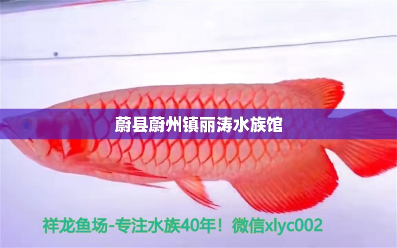 蔚縣蔚州鎮(zhèn)麗濤水族館 全國(guó)水族館企業(yè)名錄